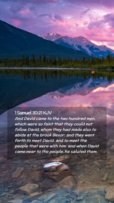 Picture 02 - 1 Samuel 30:21 KJV Mobile Phone Wallpaper - And David came to the two hundred men, which were - Mobile Bible Verse Wallpaper