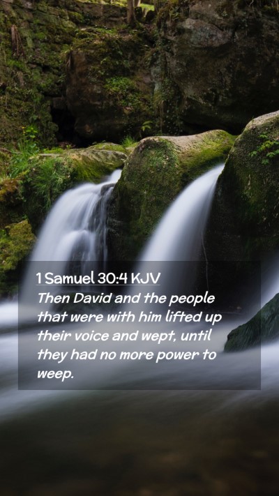 Picture 02 - 1 Samuel 30:4 KJV Mobile Phone Wallpaper - Then David and the people that were with him - Mobile Bible Verse Wallpaper