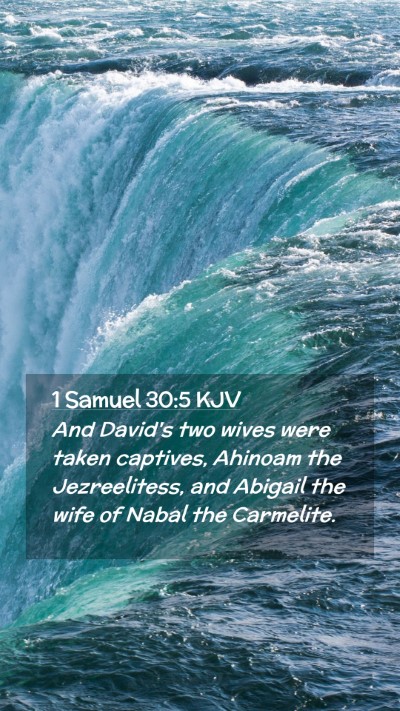 Picture 02 - 1 Samuel 30:5 KJV Mobile Phone Wallpaper - And David's two wives were taken captives, - Mobile Bible Verse Wallpaper