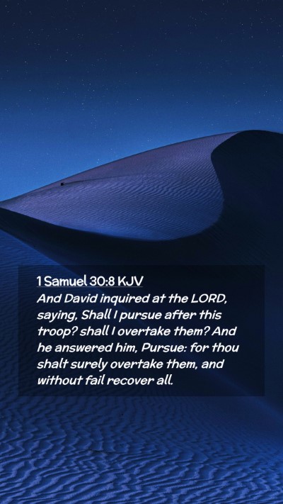 Picture 02 - 1 Samuel 30:8 KJV Mobile Phone Wallpaper - And David inquired at the LORD, saying, Shall I - Mobile Bible Verse Wallpaper