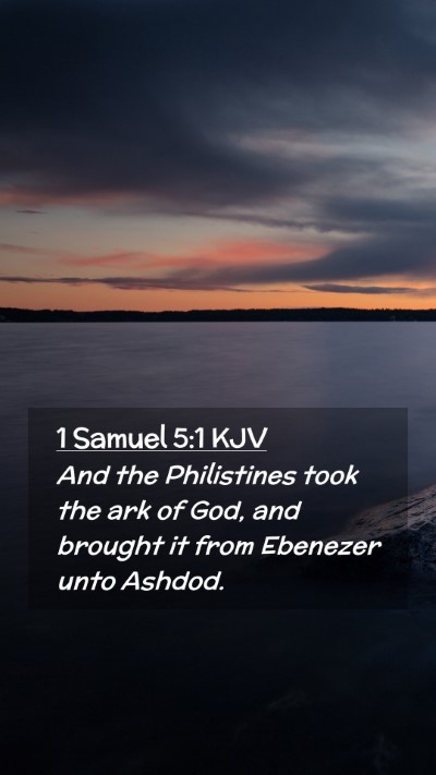 Picture 02 - 1 Samuel 5:1 KJV Mobile Phone Wallpaper - And the Philistines took the ark of God, and - Mobile Bible Verse Wallpaper