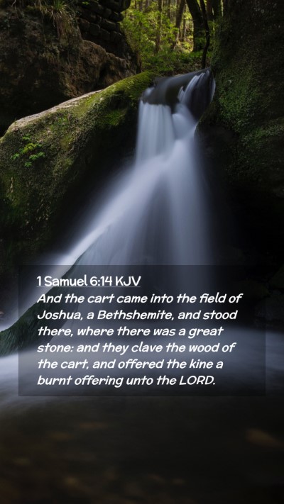 Picture 02 - 1 Samuel 6:14 KJV Mobile Phone Wallpaper - And the cart came into the field of Joshua, a - Mobile Bible Verse Wallpaper