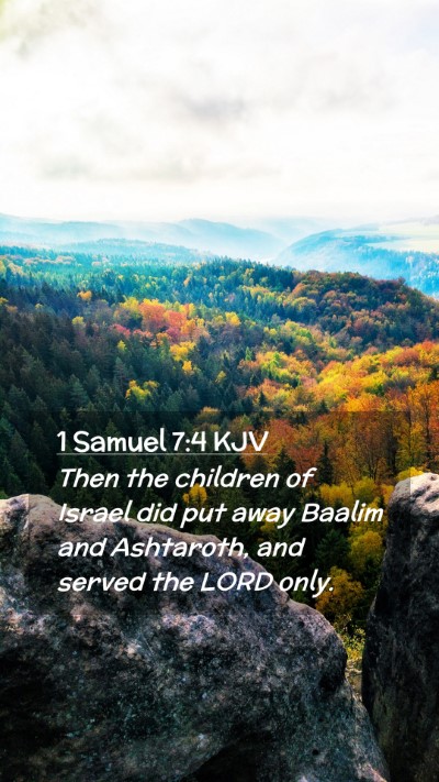Picture 02 - 1 Samuel 7:4 KJV Mobile Phone Wallpaper - Then the children of Israel did put away Baalim - Mobile Bible Verse Wallpaper