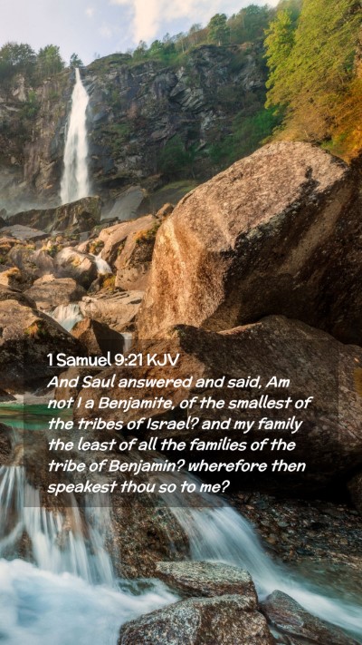 Picture 02 - 1 Samuel 9:21 KJV Mobile Phone Wallpaper - And Saul answered and said, Am not I a Benjamite, - Mobile Bible Verse Wallpaper