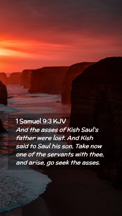 Picture 02 - 1 Samuel 9:3 KJV Mobile Phone Wallpaper - And the asses of Kish Saul's father were lost. - Mobile Bible Verse Wallpaper