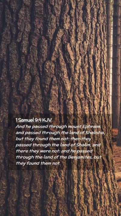 Picture 02 - 1 Samuel 9:4 KJV Mobile Phone Wallpaper - And he passed through mount Ephraim, and passed - Mobile Bible Verse Wallpaper