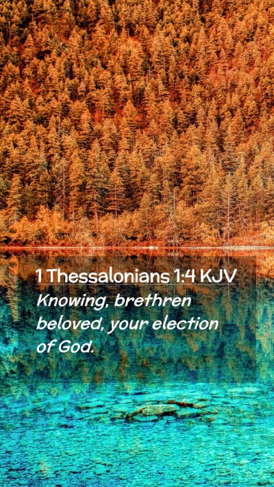 Picture 02 - 1 Thessalonians 1:4 KJV Mobile Phone Wallpaper - Knowing, brethren beloved, your election of - Mobile Bible Verse Wallpaper