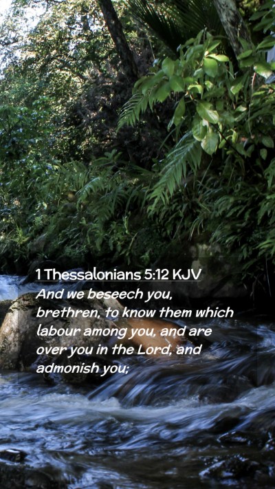 Picture 02 - 1 Thessalonians 5:12 KJV Mobile Phone Wallpaper - And we beseech you, brethren, to know them which - Mobile Bible Verse Wallpaper