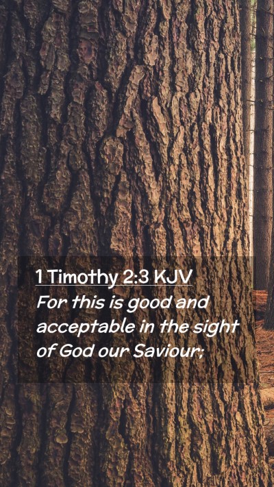 Picture 02 - 1 Timothy 2:3 KJV Mobile Phone Wallpaper - For this is good and acceptable in the sight of - Mobile Bible Verse Wallpaper