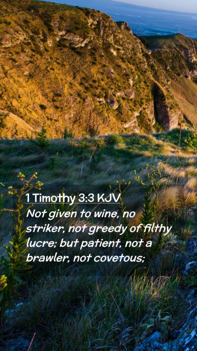 Picture 02 - 1 Timothy 3:3 KJV Mobile Phone Wallpaper - Not given to wine, no striker, not greedy of - Mobile Bible Verse Wallpaper