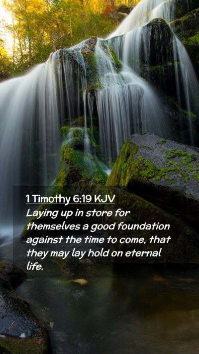 Picture 02 - 1 Timothy 6:19 KJV Mobile Phone Wallpaper - Laying up in store for themselves a good - Mobile Bible Verse Wallpaper