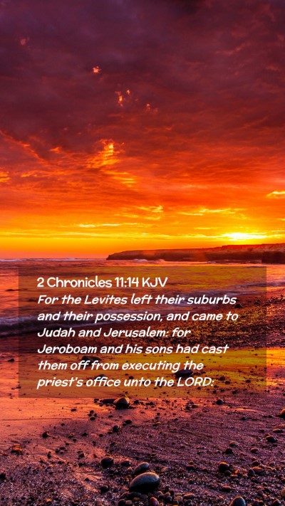 Picture 02 - 2 Chronicles 11:14 KJV Mobile Phone Wallpaper - For the Levites left their suburbs and their - Mobile Bible Verse Wallpaper