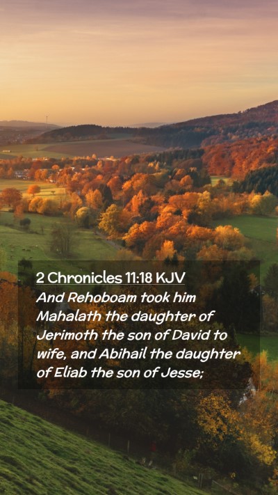 Picture 02 - 2 Chronicles 11:18 KJV Mobile Phone Wallpaper - And Rehoboam took him Mahalath the daughter of - Mobile Bible Verse Wallpaper