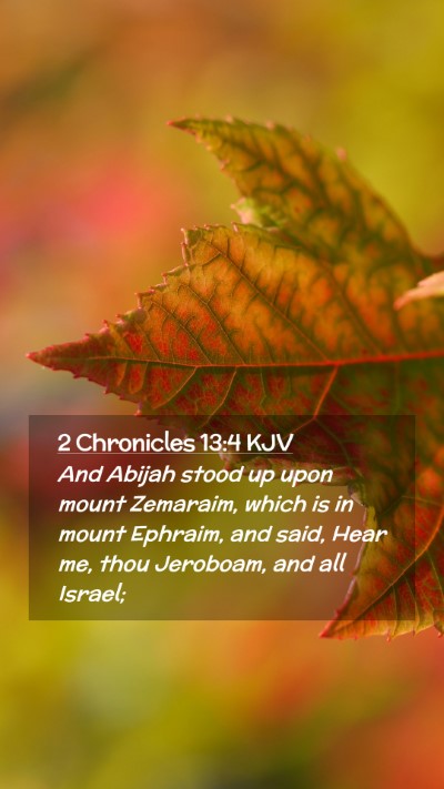 Picture 02 - 2 Chronicles 13:4 KJV Mobile Phone Wallpaper - And Abijah stood up upon mount Zemaraim, which is - Mobile Bible Verse Wallpaper