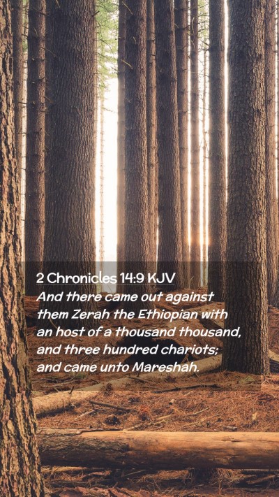 Picture 02 - 2 Chronicles 14:9 KJV Mobile Phone Wallpaper - And there came out against them Zerah the - Mobile Bible Verse Wallpaper