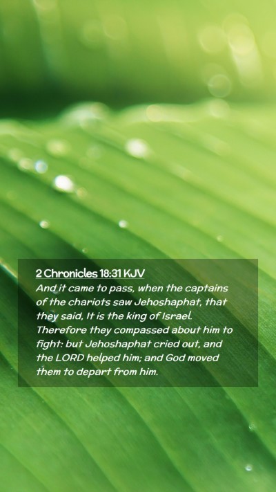 Picture 02 - 2 Chronicles 18:31 KJV Mobile Phone Wallpaper - And it came to pass, when the captains of the - Mobile Bible Verse Wallpaper