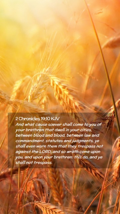 Picture 02 - 2 Chronicles 19:10 KJV Mobile Phone Wallpaper - And what cause soever shall come to you of your - Mobile Bible Verse Wallpaper