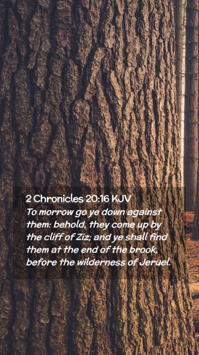 Picture 02 - 2 Chronicles 20:16 KJV Mobile Phone Wallpaper - To morrow go ye down against them: behold, they - Mobile Bible Verse Wallpaper