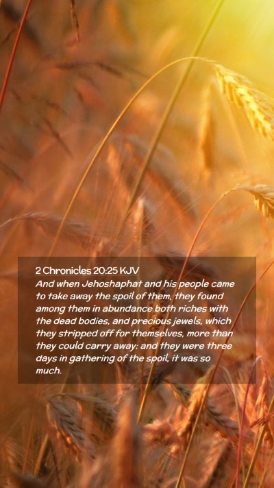 Picture 02 - 2 Chronicles 20:25 KJV Mobile Phone Wallpaper - And when Jehoshaphat and his people came to take - Mobile Bible Verse Wallpaper