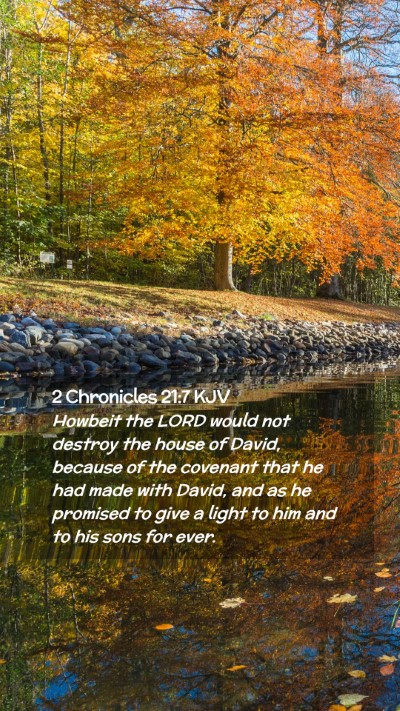 Picture 02 - 2 Chronicles 21:7 KJV Mobile Phone Wallpaper - Howbeit the LORD would not destroy the house of - Mobile Bible Verse Wallpaper