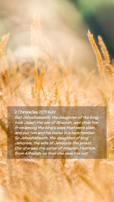 Picture 02 - 2 Chronicles 22:11 KJV Mobile Phone Wallpaper - But Jehoshabeath, the daughter of the king, took - Mobile Bible Verse Wallpaper