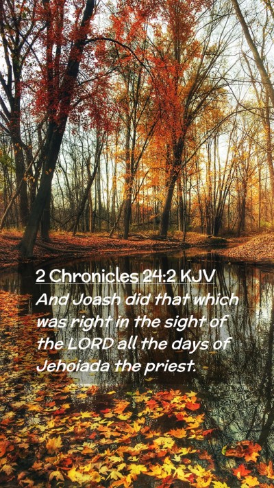 Picture 02 - 2 Chronicles 24:2 KJV Mobile Phone Wallpaper - And Joash did that which was right in the sight - Mobile Bible Verse Wallpaper