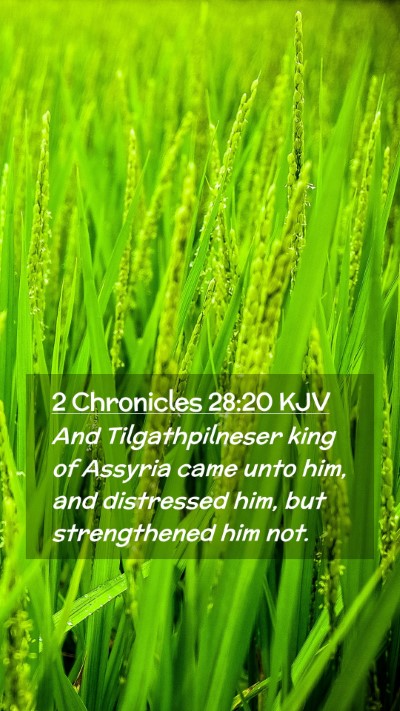 Picture 02 - 2 Chronicles 28:20 KJV Mobile Phone Wallpaper - And Tilgathpilneser king of Assyria came unto - Mobile Bible Verse Wallpaper