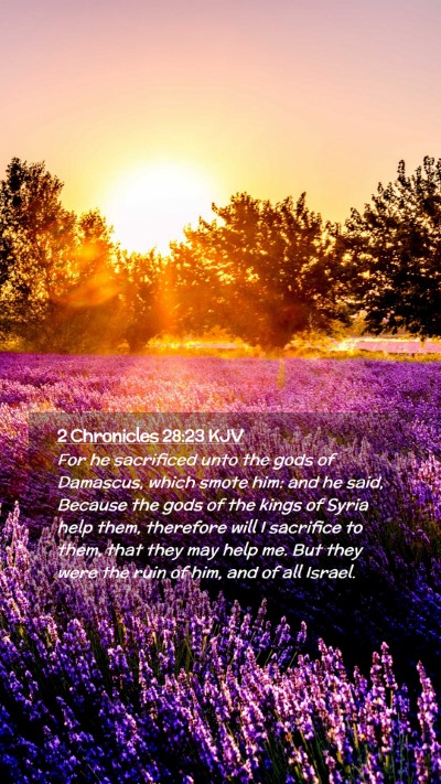 Picture 02 - 2 Chronicles 28:23 KJV Mobile Phone Wallpaper - For he sacrificed unto the gods of Damascus, - Mobile Bible Verse Wallpaper