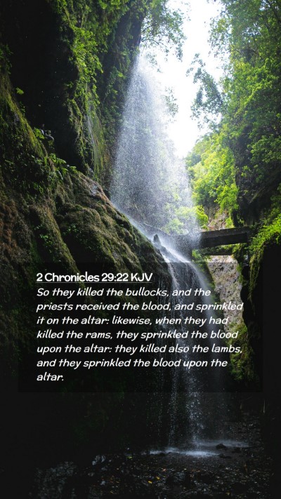 Picture 02 - 2 Chronicles 29:22 KJV Mobile Phone Wallpaper - So they killed the bullocks, and the priests - Mobile Bible Verse Wallpaper