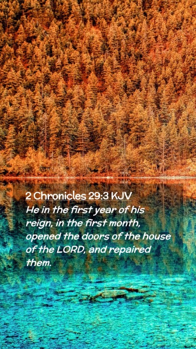 Picture 02 - 2 Chronicles 29:3 KJV Mobile Phone Wallpaper - He in the first year of his reign, in the first - Mobile Bible Verse Wallpaper