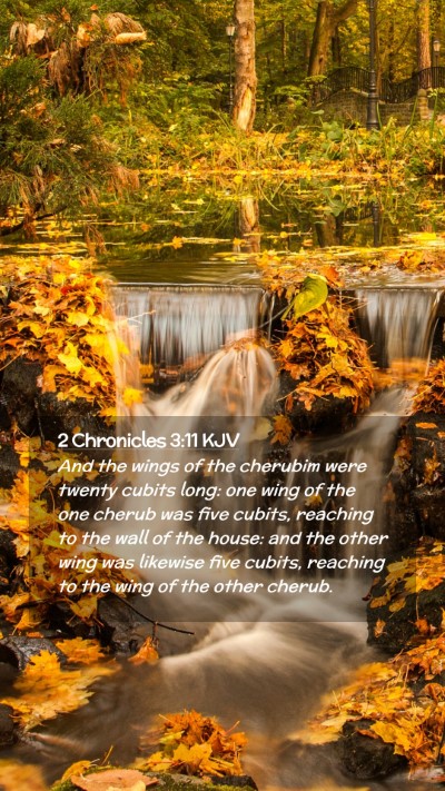Picture 02 - 2 Chronicles 3:11 KJV Mobile Phone Wallpaper - And the wings of the cherubim were twenty cubits - Mobile Bible Verse Wallpaper