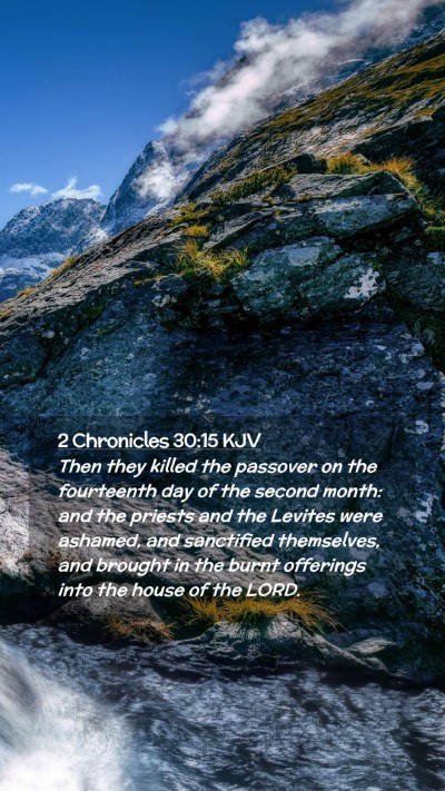 Picture 02 - 2 Chronicles 30:15 KJV Mobile Phone Wallpaper - Then they killed the passover on the fourteenth - Mobile Bible Verse Wallpaper