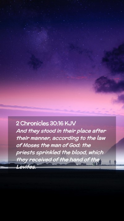 Picture 02 - 2 Chronicles 30:16 KJV Mobile Phone Wallpaper - And they stood in their place after their manner, - Mobile Bible Verse Wallpaper