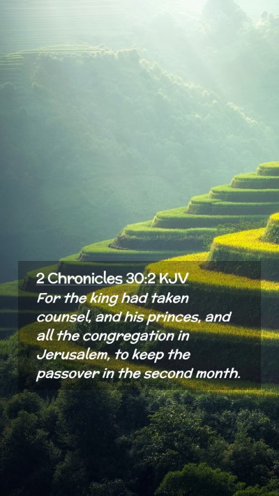 Picture 02 - 2 Chronicles 30:2 KJV Mobile Phone Wallpaper - For the king had taken counsel, and his princes, - Mobile Bible Verse Wallpaper
