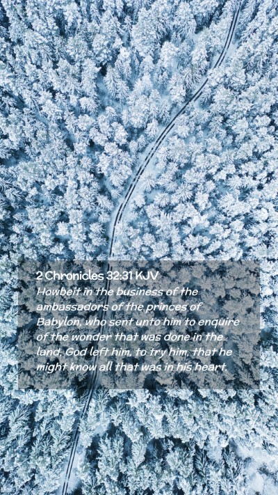 Picture 02 - 2 Chronicles 32:31 KJV Mobile Phone Wallpaper - Howbeit in the business of the ambassadors of the - Mobile Bible Verse Wallpaper