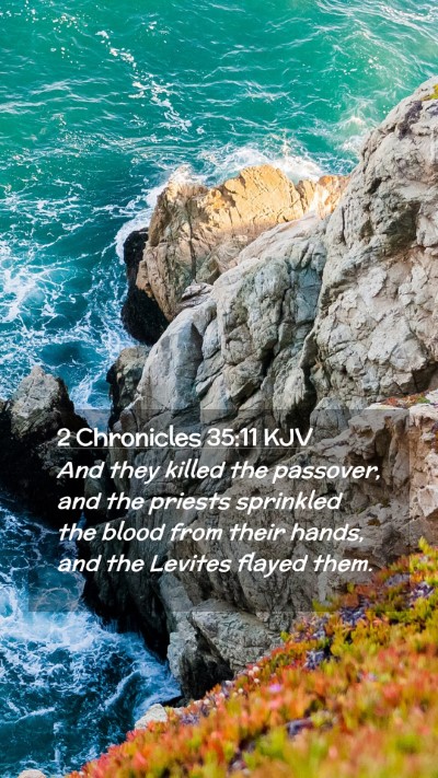 Picture 02 - 2 Chronicles 35:11 KJV Mobile Phone Wallpaper - And they killed the passover, and the priests - Mobile Bible Verse Wallpaper