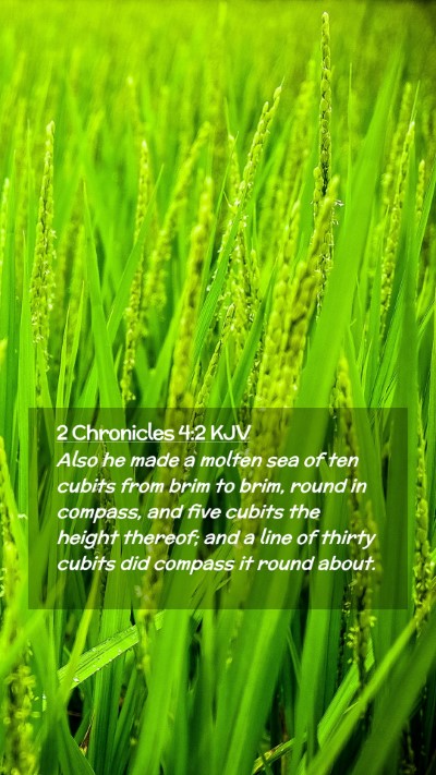 Picture 02 - 2 Chronicles 4:2 KJV Mobile Phone Wallpaper - Also he made a molten sea of ten cubits from brim - Mobile Bible Verse Wallpaper