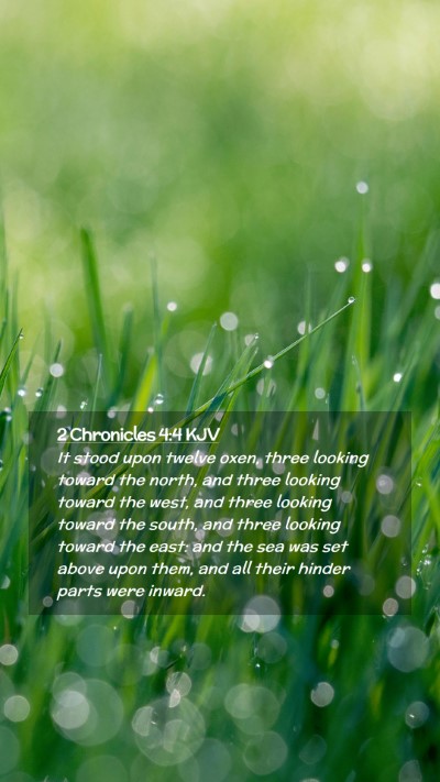 Picture 02 - 2 Chronicles 4:4 KJV Mobile Phone Wallpaper - It stood upon twelve oxen, three looking toward - Mobile Bible Verse Wallpaper