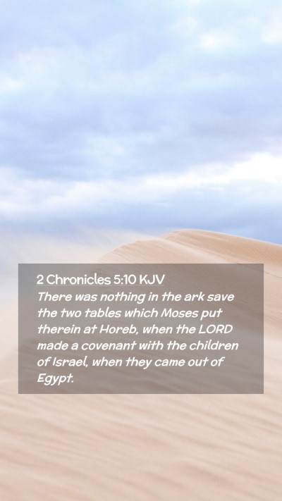 Picture 02 - 2 Chronicles 5:10 KJV Mobile Phone Wallpaper - There was nothing in the ark save the two tables - Mobile Bible Verse Wallpaper