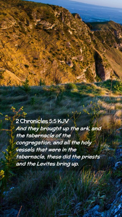Picture 02 - 2 Chronicles 5:5 KJV Mobile Phone Wallpaper - And they brought up the ark, and the tabernacle - Mobile Bible Verse Wallpaper