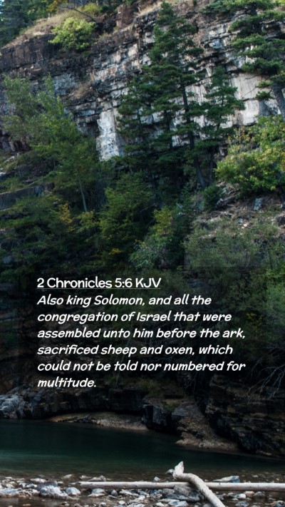Picture 02 - 2 Chronicles 5:6 KJV Mobile Phone Wallpaper - Also king Solomon, and all the congregation of - Mobile Bible Verse Wallpaper