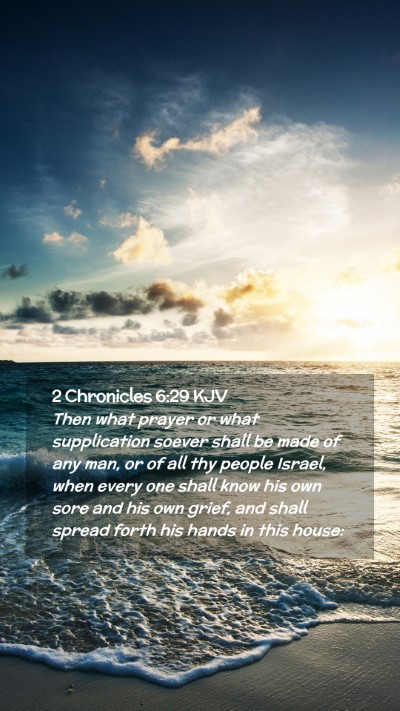 Picture 02 - 2 Chronicles 6:29 KJV Mobile Phone Wallpaper - Then what prayer or what supplication soever - Mobile Bible Verse Wallpaper