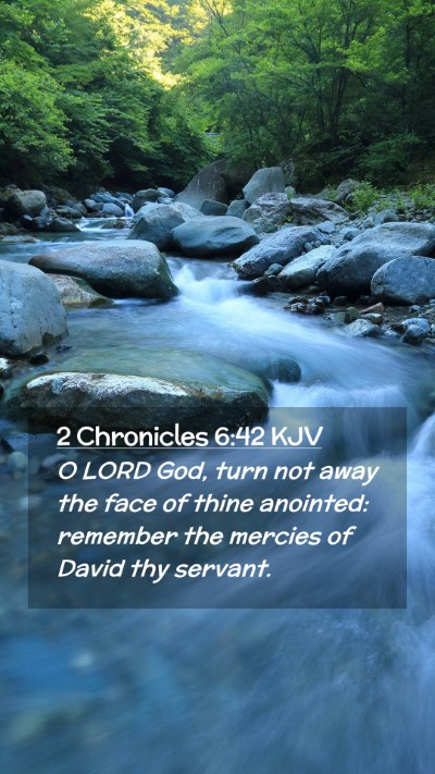 Picture 02 - 2 Chronicles 6:42 KJV Mobile Phone Wallpaper - O LORD God, turn not away the face of thine - Mobile Bible Verse Wallpaper