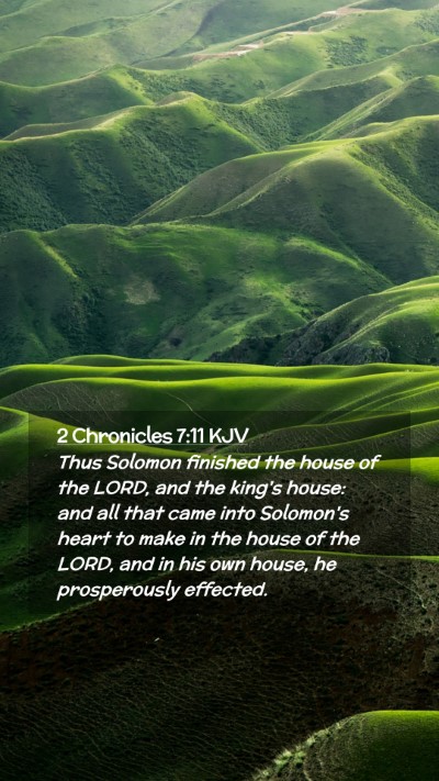 Picture 02 - 2 Chronicles 7:11 KJV Mobile Phone Wallpaper - Thus Solomon finished the house of the LORD, and - Mobile Bible Verse Wallpaper