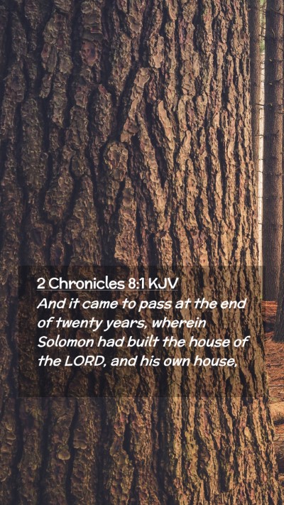 Picture 02 - 2 Chronicles 8:1 KJV Mobile Phone Wallpaper - And it came to pass at the end of twenty years, - Mobile Bible Verse Wallpaper