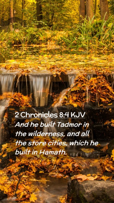 Picture 02 - 2 Chronicles 8:4 KJV Mobile Phone Wallpaper - And he built Tadmor in the wilderness, and all - Mobile Bible Verse Wallpaper