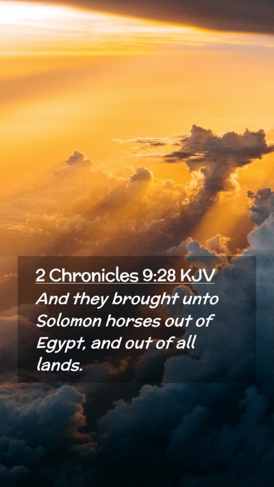 Picture 02 - 2 Chronicles 9:28 KJV Mobile Phone Wallpaper - And they brought unto Solomon horses out of - Mobile Bible Verse Wallpaper