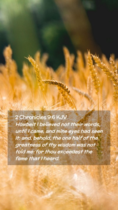 Picture 02 - 2 Chronicles 9:6 KJV Mobile Phone Wallpaper - Howbeit I believed not their words, until I came, - Mobile Bible Verse Wallpaper