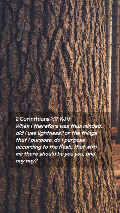 Picture 02 - 2 Corinthians 1:17 KJV Mobile Phone Wallpaper - When I therefore was thus minded, did I use - Mobile Bible Verse Wallpaper