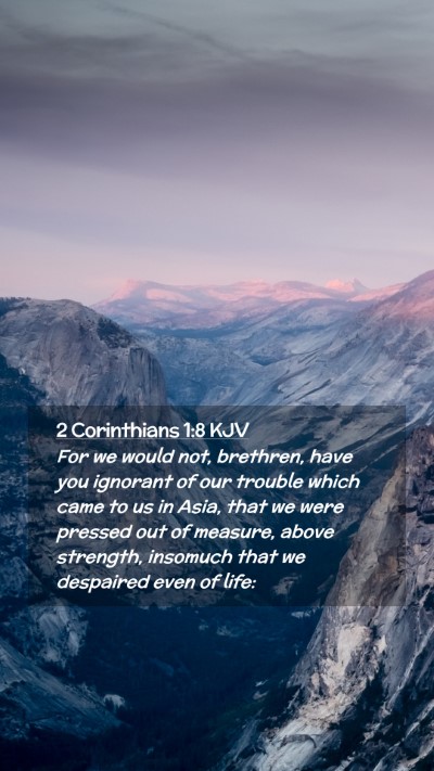 Picture 02 - 2 Corinthians 1:8 KJV Mobile Phone Wallpaper - For we would not, brethren, have you ignorant of - Mobile Bible Verse Wallpaper